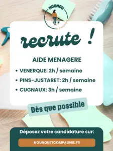 job aide ménagère